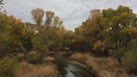 Watch: A final flash of autumn splendor near Tubac